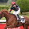 【競馬/POG】キズナ産駒リメンバーメモリー６・２３出陣に鞍上・武豊に決定！