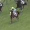 【競馬】メロディーレーン次走は菊花賞視野に調整へｗｗｗｗｗｗｗｗ