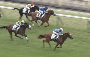 【競馬】オルフェ産駒2世代でOP馬2頭