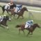 【競馬/新馬戦】モーベット強すぎワロタwww