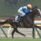 【競馬・みやこS】オメガパフューム強すぎワロタ