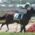 【競馬】レーンはいつ帰るの？