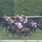 【競馬】富士Sにあの安田記念以来のロジクライ武豊ｗｗｗｗｗｗ
