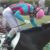 【競馬・クイーンC】ルナシオンとホウオウビースフル弱すぎワロタｗｗｗｗｗｗｗｗｗｗｗｗｗｗｗｗｗｗ