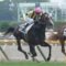 【競馬】ダミアン・レーン騎手（オーストラリア）に5月23日から7月21日までの短期騎手免許を交付