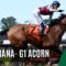 【競馬】[動画] アメリカが今一番注目する3歳がすごいらしい…【異次元の脚】