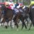 【競馬。ヴィクトリアM】ダノンファンタジー マイナス20キロwwwww