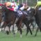 【競馬・秋華賞】本番のダノン弱すぎワロタｗｗｗｗｗｗｗｗｗｗｗｗｗｗｗｗｗｗｗｗｗ