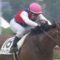 【競馬】柴山雄一さん春から栗東所属へ