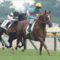 【競馬】急募！！皐月賞サリオスの鞍上・レーン → ○○