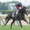 【競馬・新馬戦】中京5R 世代最初の新馬戦、7番人気馬で岩田康が勝ってしまうｗｗｗｗｗｗｗｗ