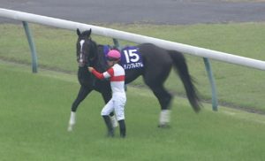 【競馬/安田記念】ダノンプレミアムを1点も買わなかった奴へ質問です、何で養分だと分かったんですか? 【競馬/安田記念】ダノンプレミアムを1点も買わなかった奴へ質問です、何で養分だと分かったんですか?