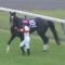 【競馬/安田記念】ダノンプレミアムを1点も買わなかった奴へ質問です、何で養分だと分かったんですか?