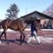 【競馬】ドゥラメンテ産駒が気性が悪過ぎてワロタ