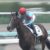 【競馬】リアアメリアは福永と新コンビ結成 【競馬】リアアメリアは福永と新コンビ結成