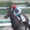 【競馬】ところでリアアメリアはもうやる気ないの？