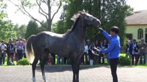 【競馬】総帥「社台もゴドルフィンもこの馬に（ウインブライト）手を出すな！！！」
