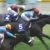 【競馬】アーモンドアイ、デアリングタクト、コントレイル、インディチャンプだろ？どうせ