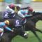 【競馬】2019年、天皇賞秋の出走予定メンバーwwwwwwwwwwwwwwwwwwwwwwwwwwwwwww