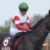 【競馬】川田将雅G1通算22勝・・・代表馬がいない件