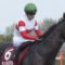 【競馬】川田将雅G1通算22勝・・・代表馬がいない件