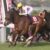 【競馬】悲報・・川田結局上半期G1未勝利wwwwwwww