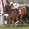 【競馬】7月終了 リーディング 川田92勝 戸崎77勝 ルメ73勝 武豊65勝 三浦64勝