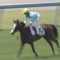 【競馬・菊花賞】メロディーレーンちゃんを人間に例えたら？