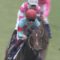 【競馬/安田記念】今の東京競馬場は史上最低のクソ馬場ｗｗｗｗｗｗｗｗｗｗｗｗｗｗｗｗｗｗｗｗｗｗｗｗｗｗｗｗｗｗ