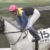 【競馬】フジ実況「ハヤヤッコ芦毛の馬体！！！！」← ｗｗｗｗｗｗ