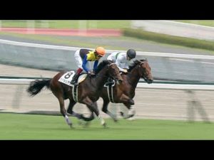 【競馬】未完の大器ことヘンリーバローズさん種牡馬入り決定！！