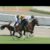【競馬】未完の大器ことヘンリーバローズさん種牡馬入り決定！！