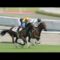 【競馬】未完の大器ことヘンリーバローズさん種牡馬入り決定！！