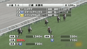 【競馬】小倉1Rで外に逃避したタマモボイジャーその後外ラチに突っ込んで死亡