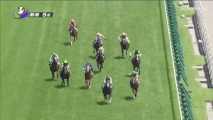 【競馬】[動画] デムーロ落馬のパトロールビデオやばすぎ