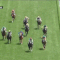 【競馬】[動画] デムーロ落馬のパトロールビデオやばすぎ