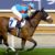 【競馬】アーモンドアイ、次走は5月17日ヴィクトリアマイルへ
