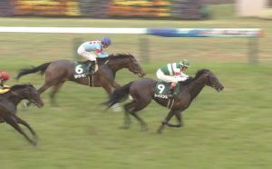 【競馬・新潟記念】ヒロシ「レイエンダが馬券圏外に飛ぶ事は考えられない（笑）」