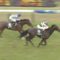 【競馬・新潟記念】ヒロシ「レイエンダが馬券圏外に飛ぶ事は考えられない（笑）」