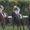 【競馬】超良血ヴァーダイトに出資してるんだけど将来重賞勝てると思う？