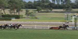 【競馬】ホウオウサーベル強すぎワロタ【父ハーツクライ】