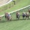 【競馬】藤田菜七子、中山4Rで歴史的無気力騎乗