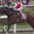 【競馬】落合福嗣 、父・博満さんの「ウマ娘ってゲームになったのか？」言葉に衝撃