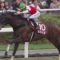 【競馬/ヴィクトリアM】ケイタ、オッズ低下を危惧してVMは本命見解を公開しない可能性も...