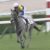 【競馬】ミヤマザクラ、武豊でオークスへ