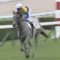 【競馬・秋華賞】三番人気ミヤマザクラwww