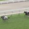 【競馬】ミヤマザクラこれ三冠いけるだろ【札幌芝2000レコード】