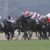 【競馬】新潟競馬場でぶち切れるジジィwwwwww