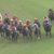 【競馬・桜花賞】ペリファーニア武史ｗｗｗｗｗｗｗｗｗｗｗｗ