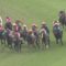 【競馬/函館記念】ブラックバゴ斎藤師「なぜかみんな最後方から競馬する。息子を乗せて思い切った競馬をさせる」
